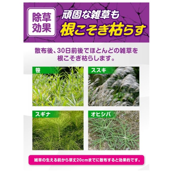 ブロマックス W9 3kgの説明画像3