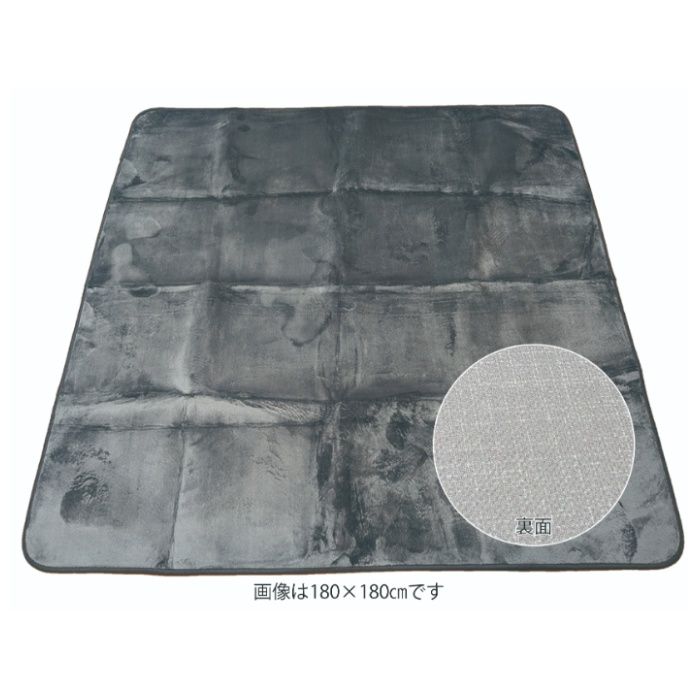 年間使えるカーペット 200×240cmGY