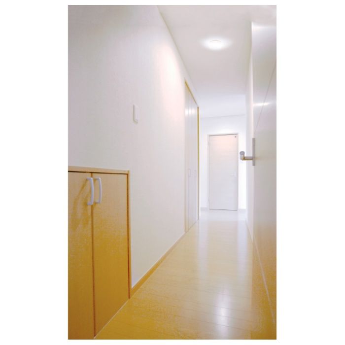 アイリスオーヤマ LED小型シーリングライト 昼光色 600lm SCL6D-Hの説明画像3