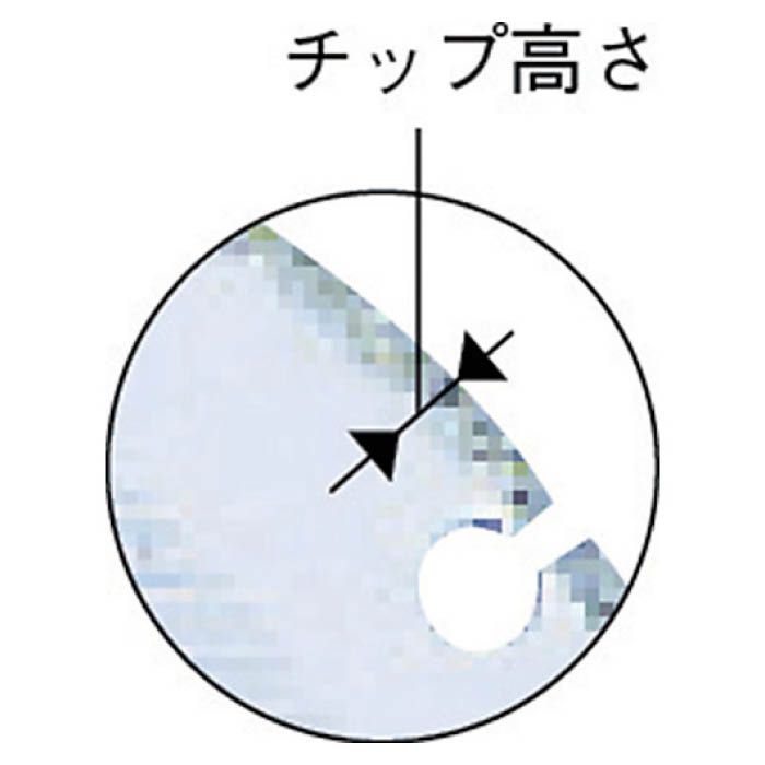 T)エビ 電着ダイヤモンドホイール 窒素サイディング専用 160mmの通販