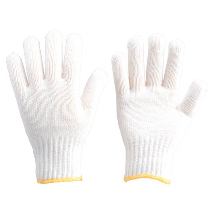 (T) リサイクル手袋#60フリーサイズ12双入