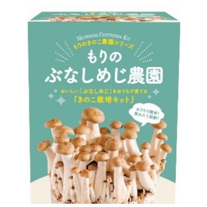 家庭用栽培キット もりのぶなしめじ農園