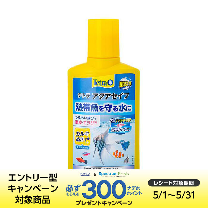 （まとめ）水ピカカルキ抜きメダカ用 150ml (観賞魚 水槽用品)