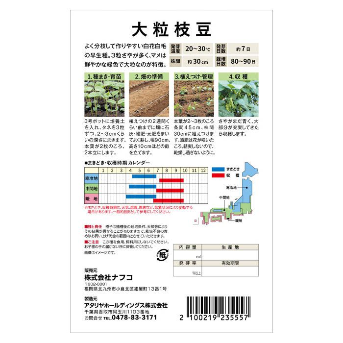 おうちで収穫 野菜の種 大粒枝豆の説明画像2