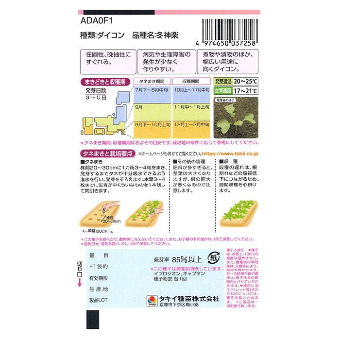 タキイ種苗 畑でながもち冬どり大根 冬神楽 ＜根菜の種＞の通販