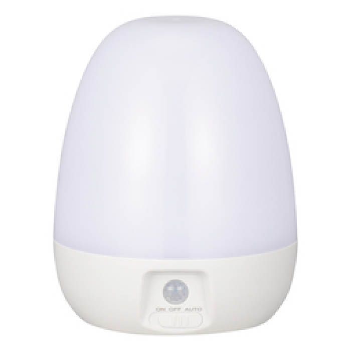 LEDセンサーライト　卵型　電池式 NIT-BLA6JE-WN