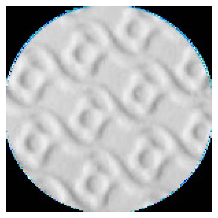 (T)ショーワ クリーンルーム用手袋　ニュー薄手(クリーンパック)10双入　Mサイズ 1034990の説明画像2