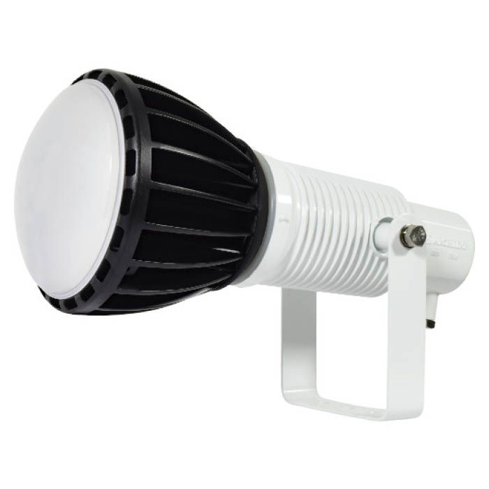 (T)日動 エコビックLED投光器100W(常設型)　本体:白、電球:黒　照射角170度 1618917