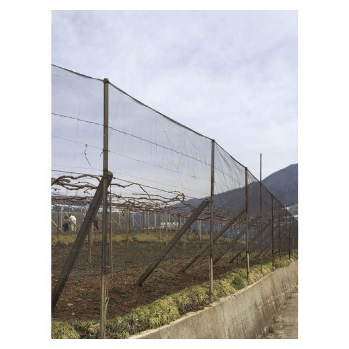 (T)Dio 景観保護ネット 目合い4mm目 幅2X長さ50m 景観保護色ブラウン 403658(Tcode:8364086)の説明画像2