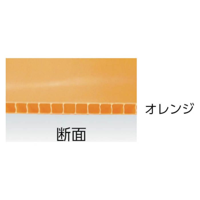 (T)IRIS 567084 プラダン 910×600×4 ナチュラル PD964NT(Tcode:5137764)の説明画像3