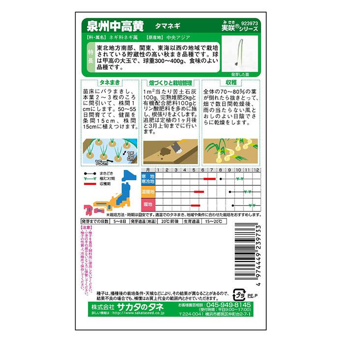 サカタのタネ 泉州中高黄 ＜根菜の種＞の説明画像2