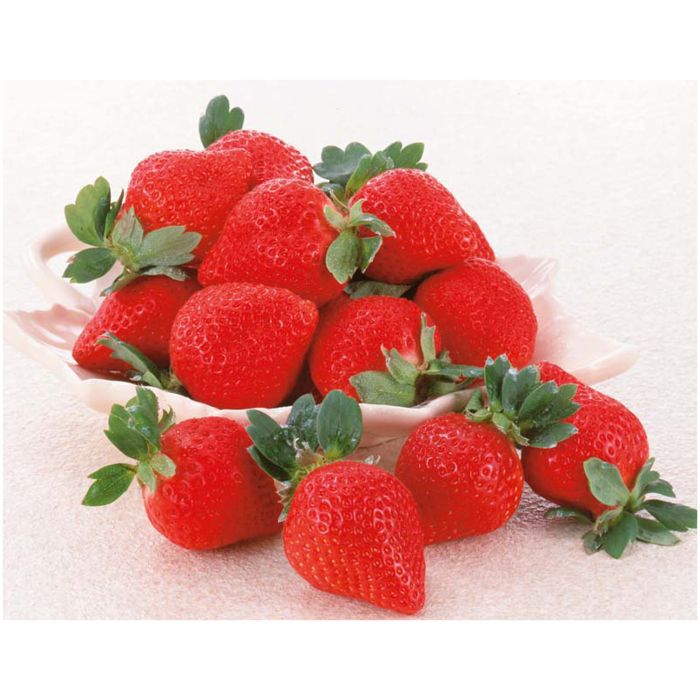 【R15-10】【お歳暮】JAふくおか八女 博多あまおう-承り締切:2025年12月8日の説明画像2