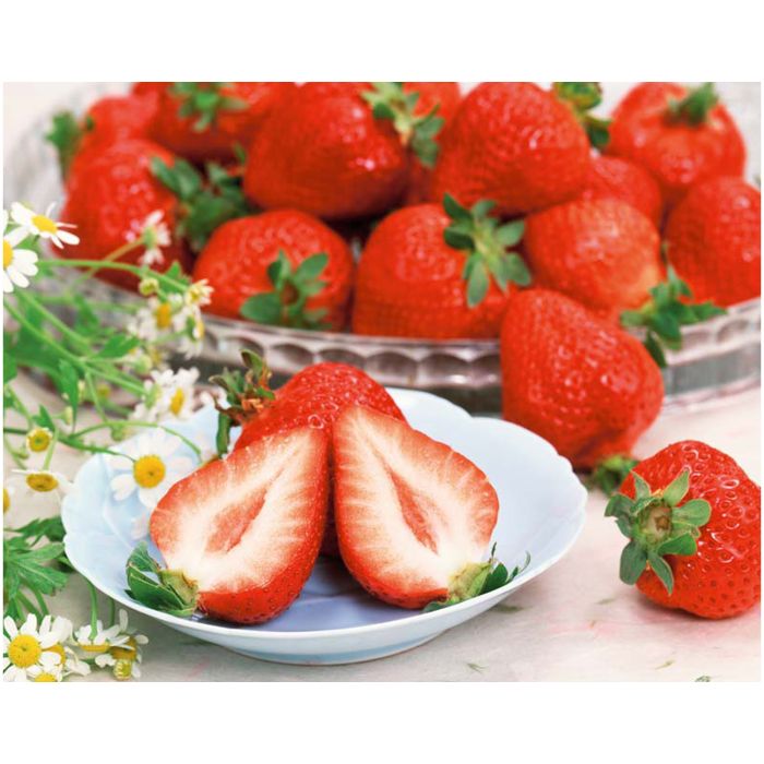 【R15-12】【お歳暮】JAふくおか八女 博多あまおう-承り締切:2025年12月8日の説明画像2