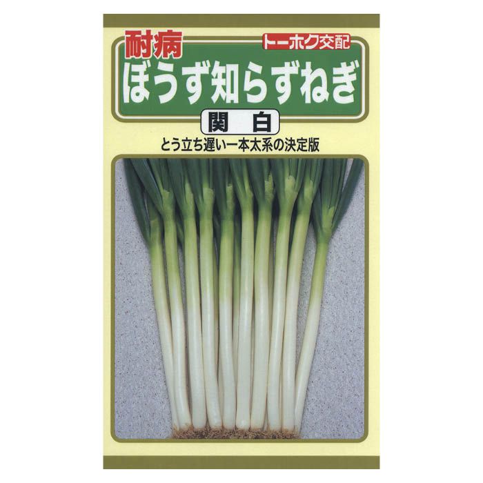 ネギ 耐病ぼうず知らずねぎ関白の通販 ホームセンターナフコ 公式通販