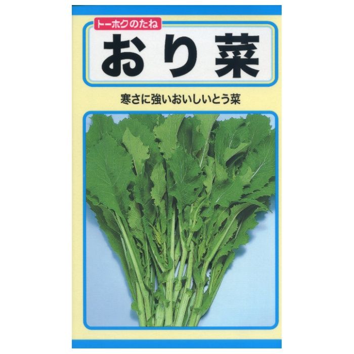 ヨウサイルイ おり菜