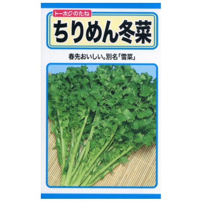 ヨウサイルイ ちりめん冬菜