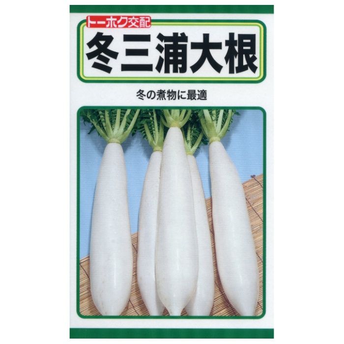 ダイコン 冬三浦大根