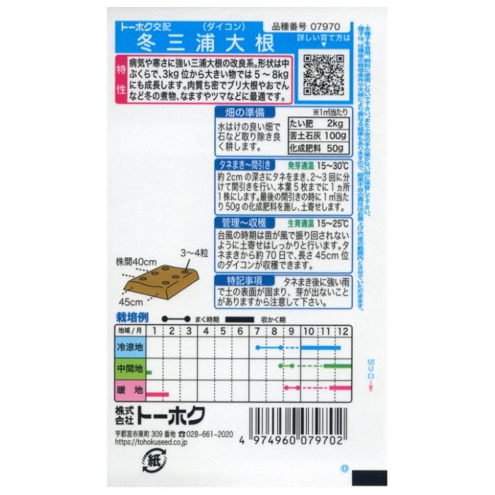 ダイコン 冬三浦大根の説明画像2