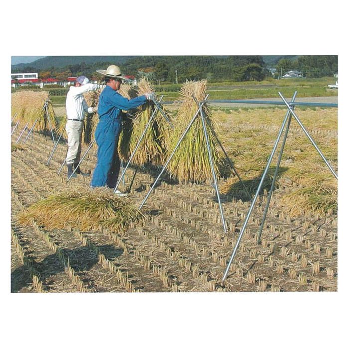 稲の掛け干し ほすべー   B-3  一段掛け  5畝歩用 (5a) 約60m分 - 2