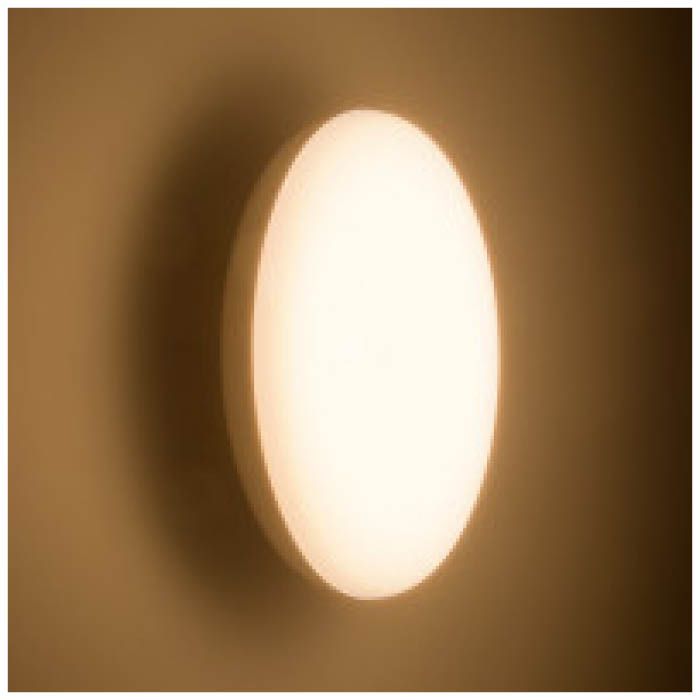 LED浴室灯100形電球色 LT-F5415KLの通販｜ホームセンターナフコ【公式