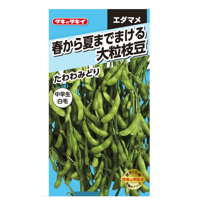 タキイ種苗 春から夏までまける大粒枝豆　たわわみどり AED158