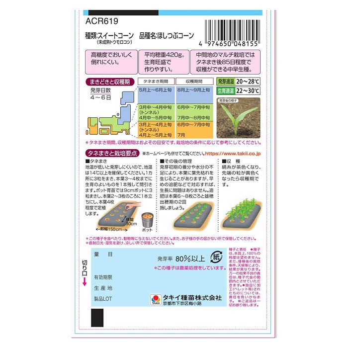 タキイ種苗 甘さが自慢のスイートコーン　ほしつぶコーン ACR619の説明画像2