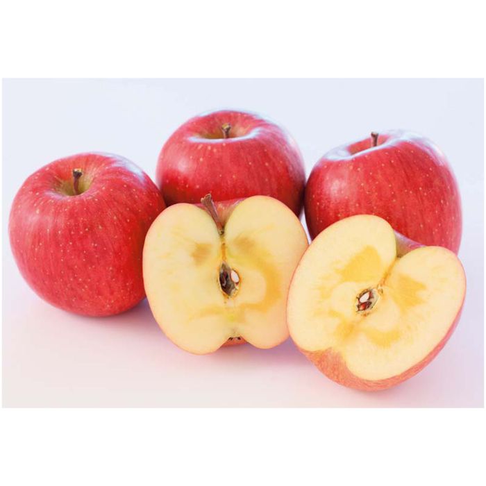 【JTYSF9】【お歳暮】山形県産 サンふじりんご-承り締切:2025年12月11日の説明画像2