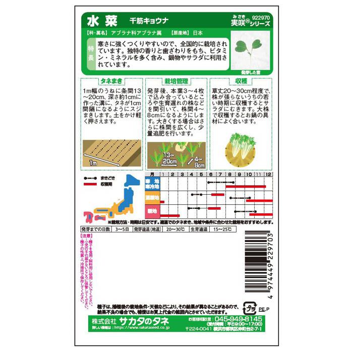 サカタのタネ ミズナ 千筋キョウナの説明画像2