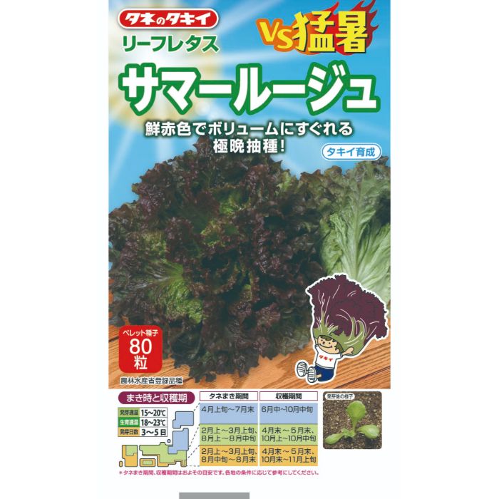 タキイ種苗 レタス VS猛暑　サマールージュ