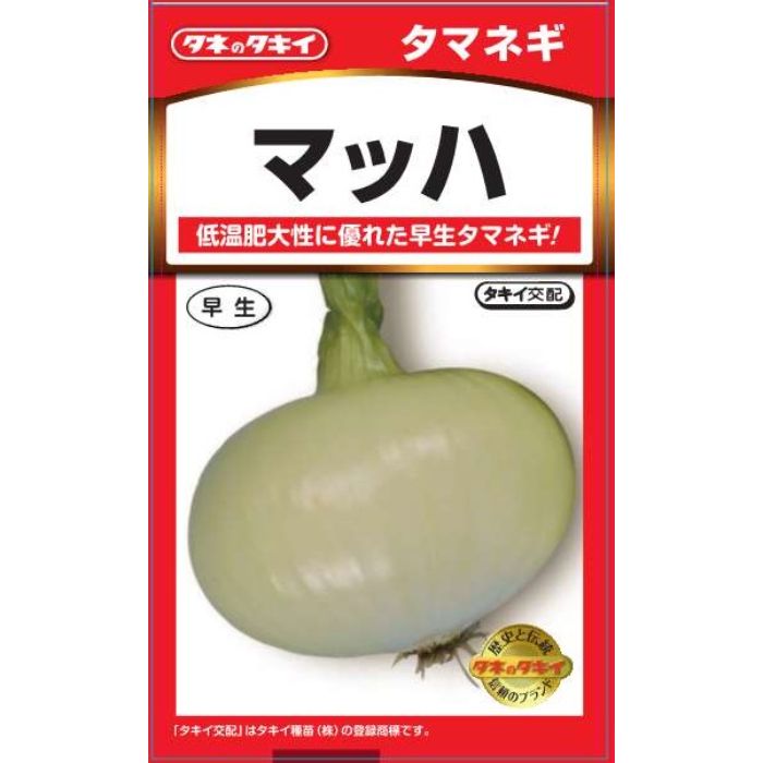 タキイ種苗 タマネギ マッハ