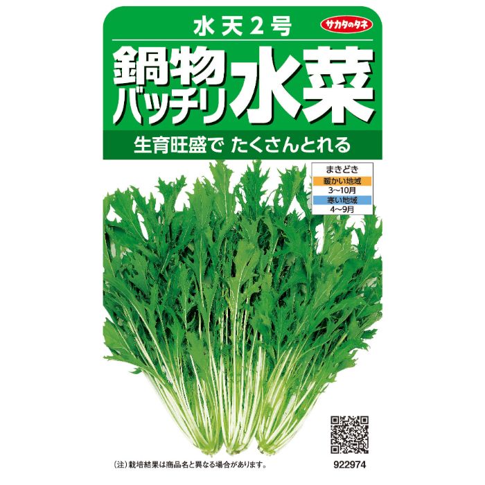 サカタのタネ 鍋物バッチリ水菜 水天2号