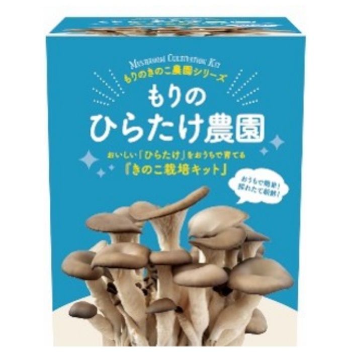 家庭用栽培キット もりのひらたけ農園