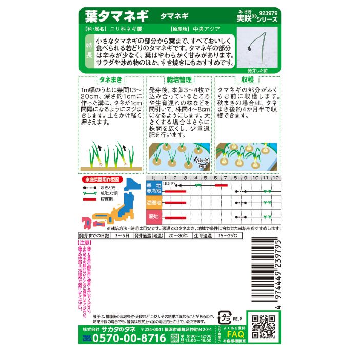 サカタのタネ タマネギ 葉タマネギの説明画像2