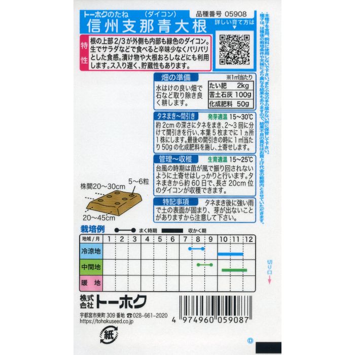 ダイコン 信州支那青大根の説明画像2