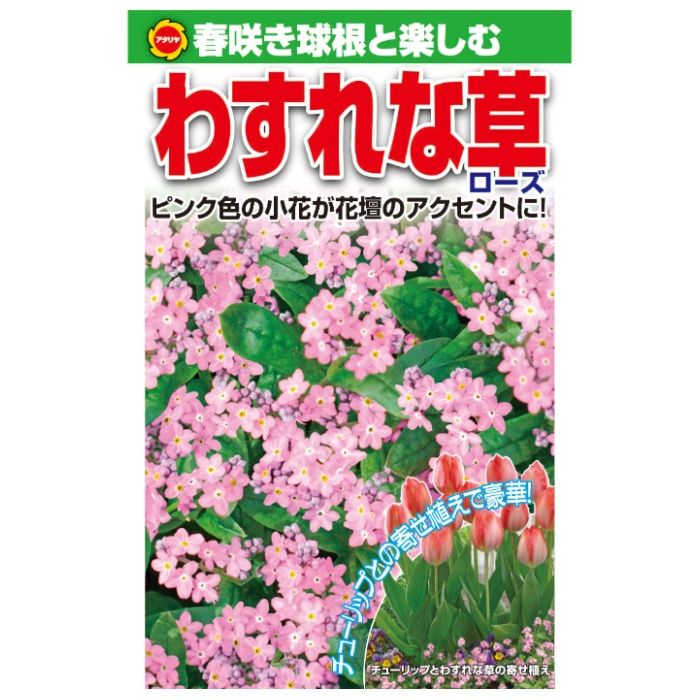 アタリヤ農園 春咲き球根と楽しむ　わすれな草 ローズ
