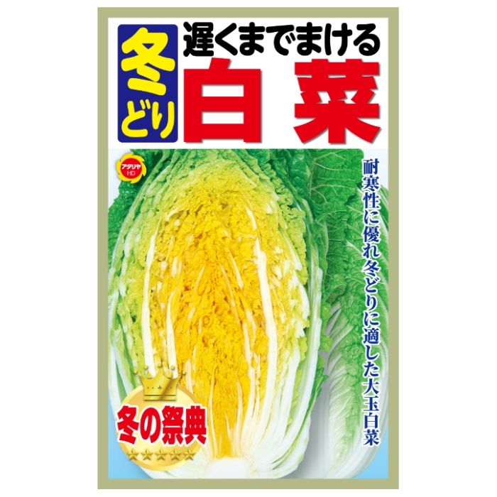アタリヤ農園 ハクサイ 遅くまでまける 冬どり白菜