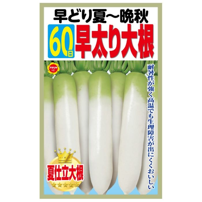 アタリヤ農園 ダイコン 早どり 60日早太り大根