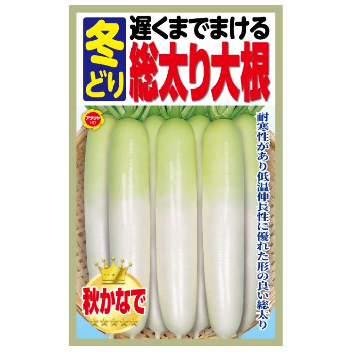 アタリヤ農園 ダイコン 遅くまでまける 冬どり総太り大根