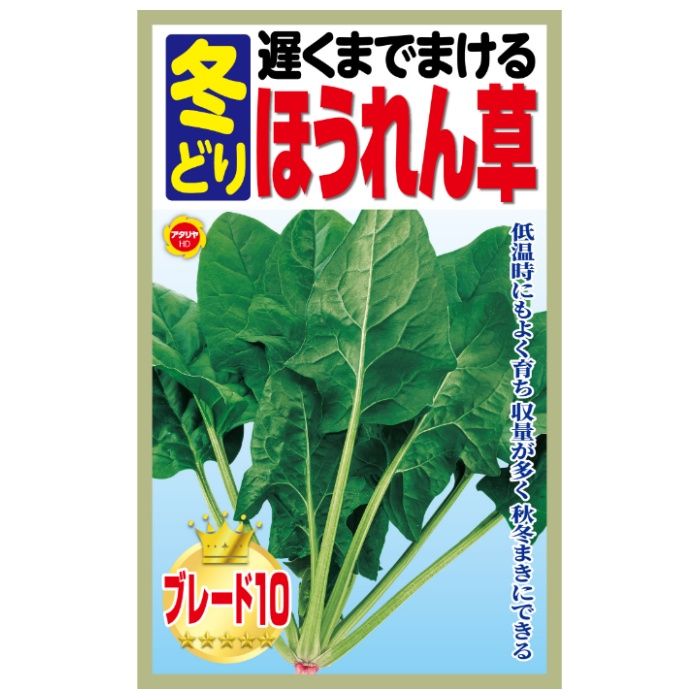 アタリヤ農園 ホウレンソウ 遅くまでまける 冬どりほうれん草