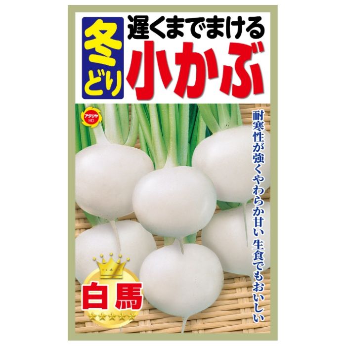 アタリヤ農園 カブ 遅くまでまける 冬どり小かぶ