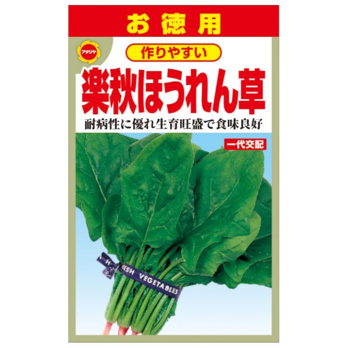 アタリヤ農園 ホウレンソウ 徳用 楽秋ほうれんそう