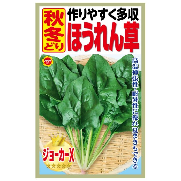 アタリヤ農園 ホウレンソウ 作りやすく多収 秋冬どりほうれん草