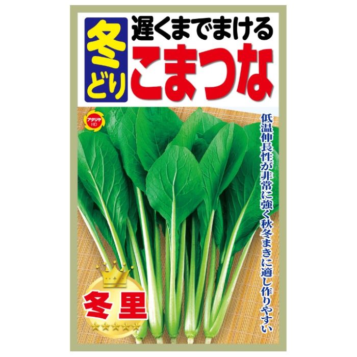 アタリヤ農園 コマツナ 遅くまでまける　冬どりこまつな