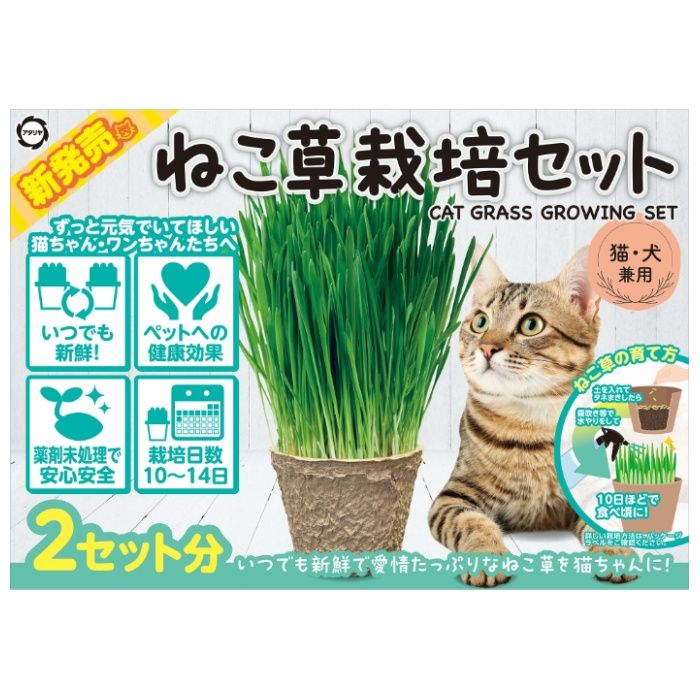 アタリヤ農園 ねこ草栽培セット 2セット入りの説明画像3