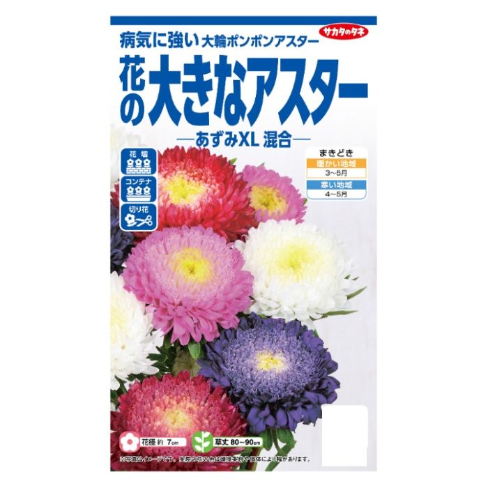 サカタのタネ 花の大きなアスター あずみXL　混合