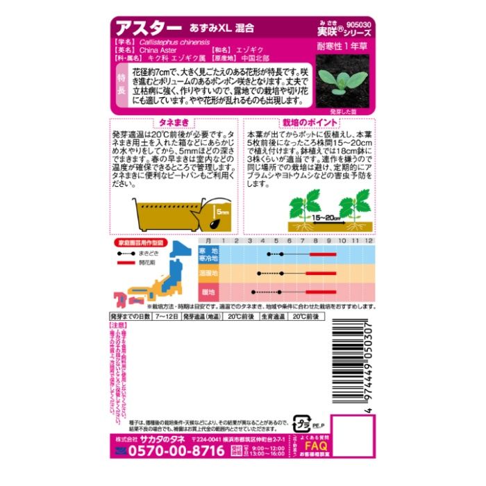 サカタのタネ 花の大きなアスター あずみXL　混合の説明画像2