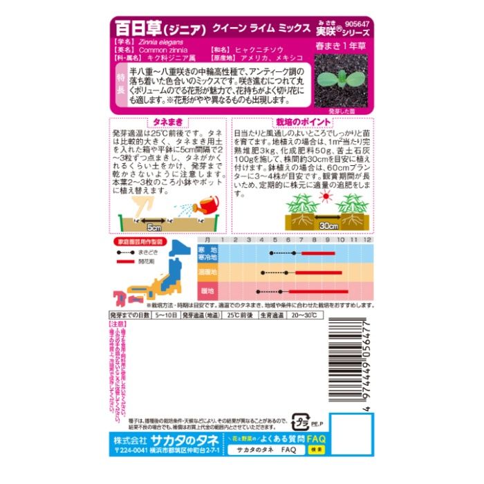 サカタのタネ ジニア クイーンライムMixの説明画像2
