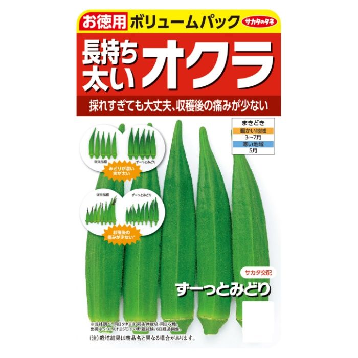 サカタのタネ 長持ち太いオクラ ずーっとみどり　徳用