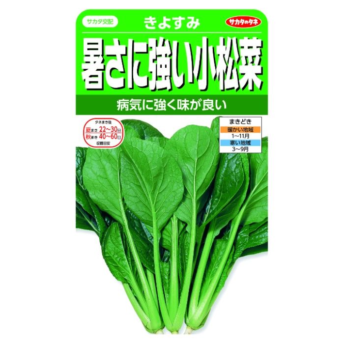 サカタのタネ 暑さに強い小松菜 きよすみ