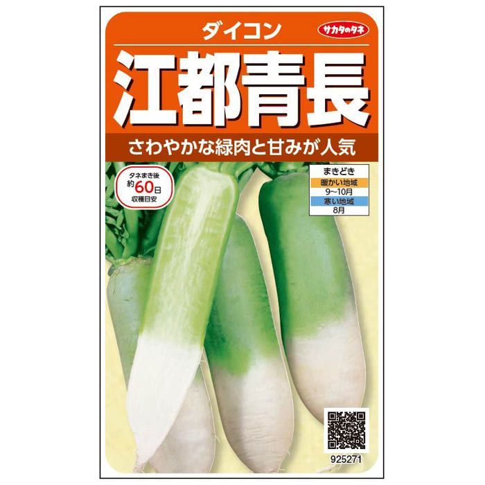 サカタのタネ 江都青長 ＜根菜の種＞